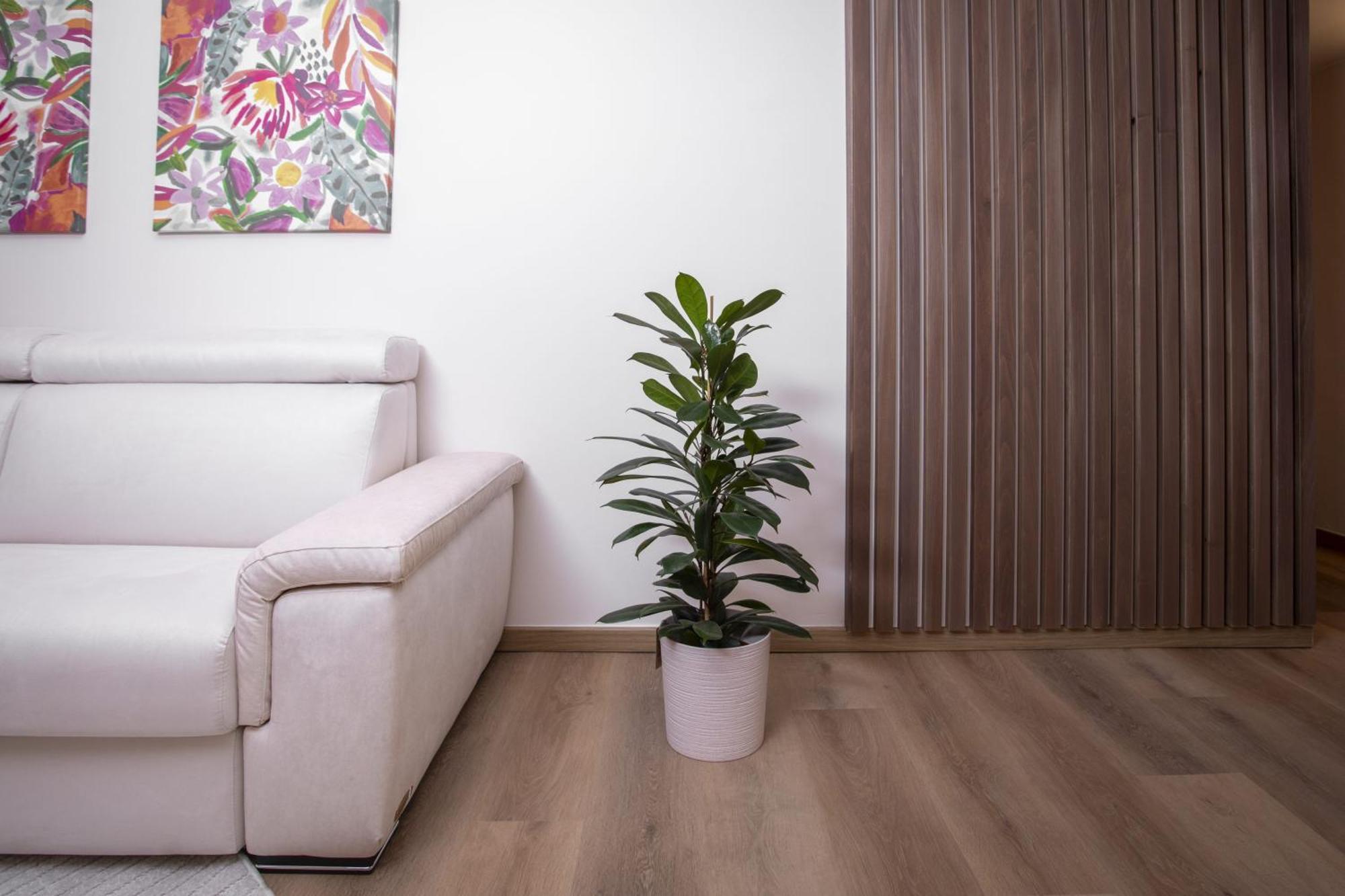 Palazzo Ratti Boutique Rooms Cherasco Exteriér fotografie